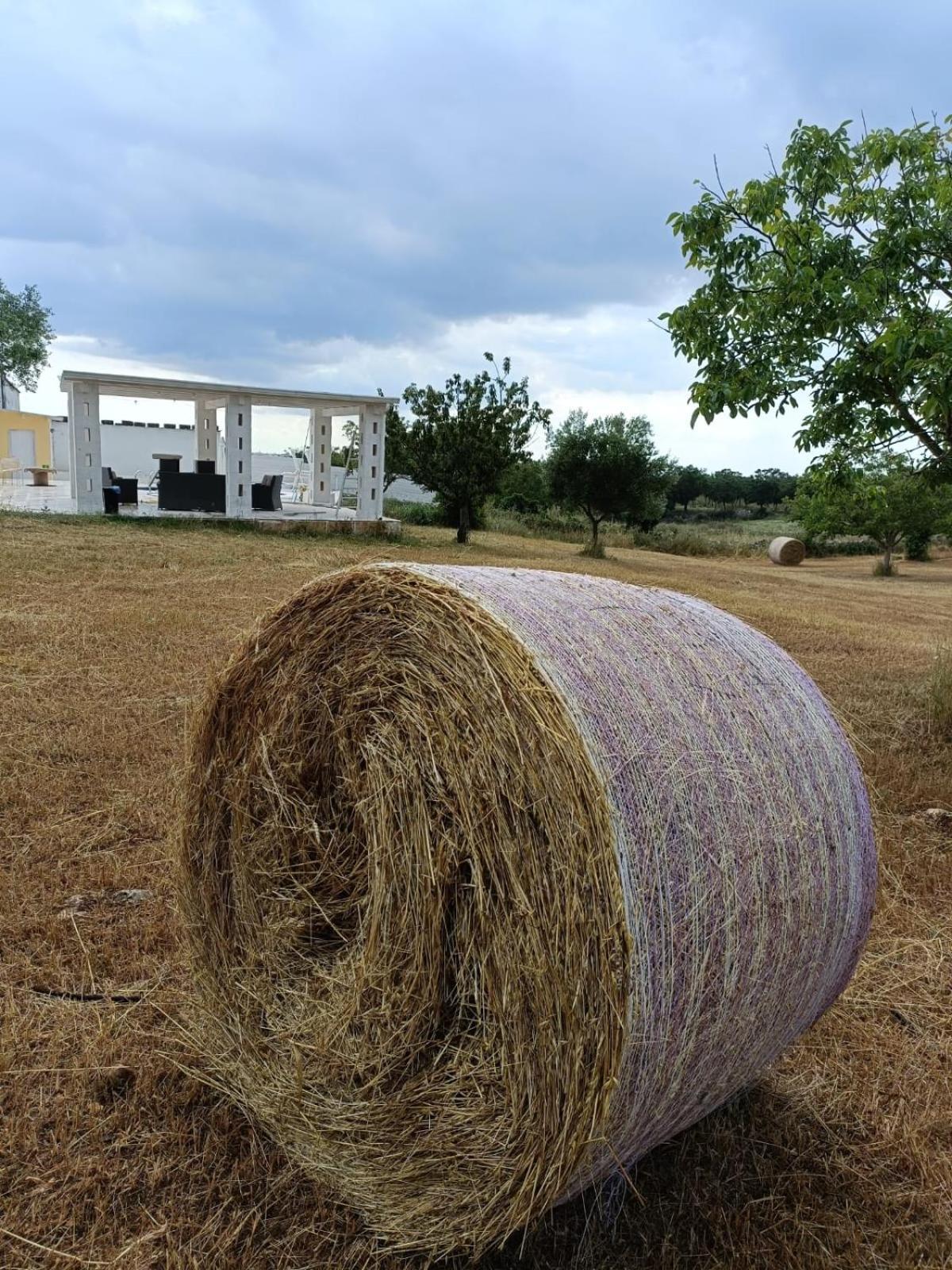 פוטיניאנו Casa Loredana מראה חיצוני תמונה